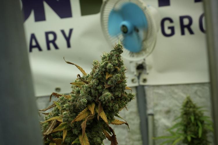 Skywalker OG Legends of the 12/12 Galaxy. Week 14 - SkyWalker OG fading 