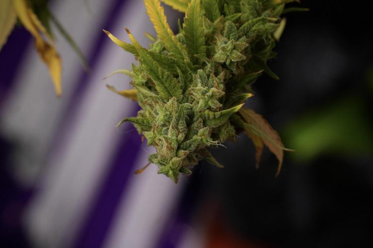 Skywalker OG Legends of the 12/12 Galaxy. Week 14 - SkyWalker OG  studio time 