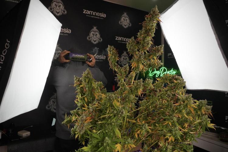 Skywalker OG Legends of the 12/12 Galaxy. Week 14 - SkyWalker OG  the beast 