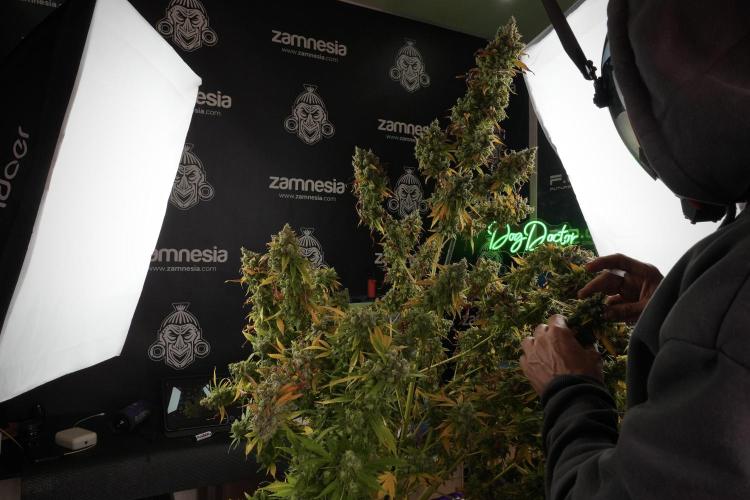 Skywalker OG Legends of the 12/12 Galaxy. Week 14 - SkyWalker OG  the beast 