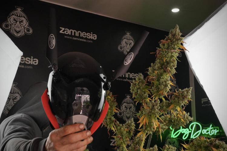 Skywalker OG Legends of the 12/12 Galaxy. Week 14 - The Mask