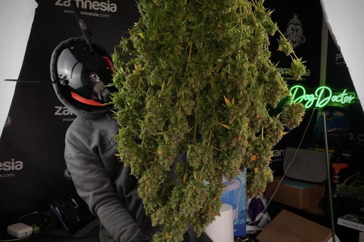 Skywalker OG Legends of the 12/12 Galaxy. Week 14 - SkyWalker OG  the beast 