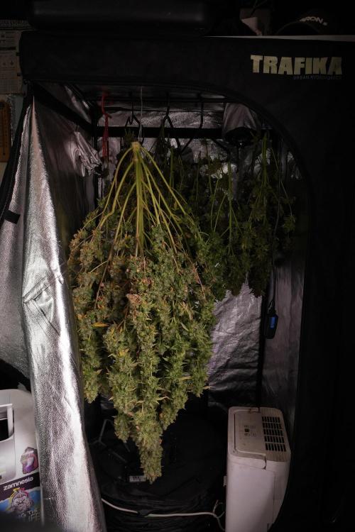 Skywalker OG Legends of the 12/12 Galaxy. Week 14 - SkyWalker OG  the beast drying 