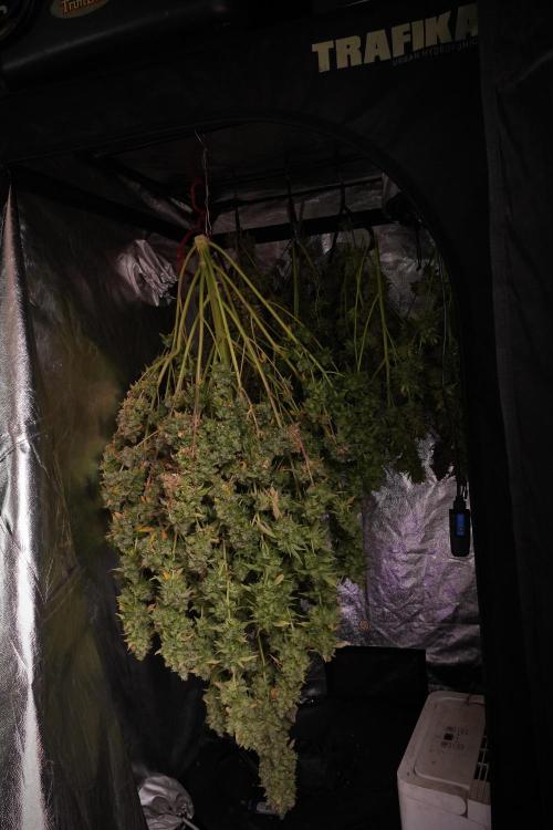 Skywalker OG Legends of the 12/12 Galaxy. Week 14 - SkyWalker OG  the beast drying 
