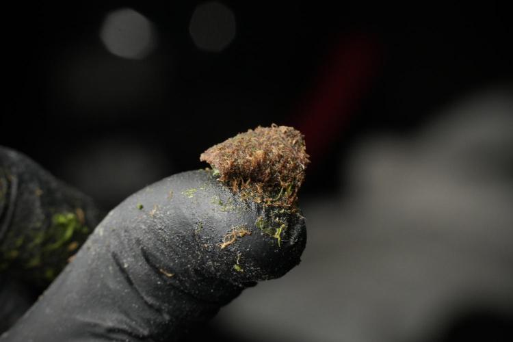 Skywalker OG Legends of the 12/12 Galaxy. Week 15 - Charas — Living Resin