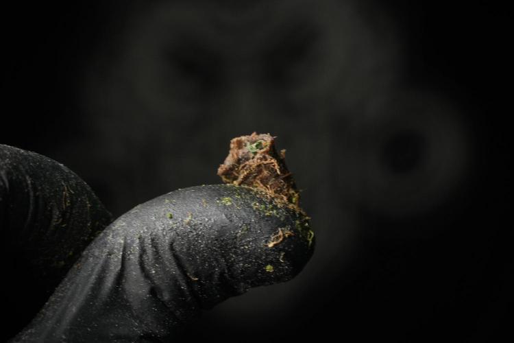 Skywalker OG Legends of the 12/12 Galaxy. Week 15 - Charas — Living Resin