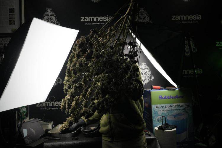 Skywalker OG Legends of the 12/12 Galaxy. Week 16 - checking ON 