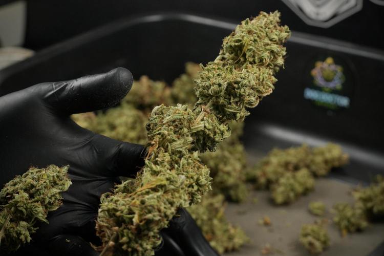 Skywalker OG Legends of the 12/12 Galaxy. Week 16 - breaking down the Skywalker OG  and trimming 