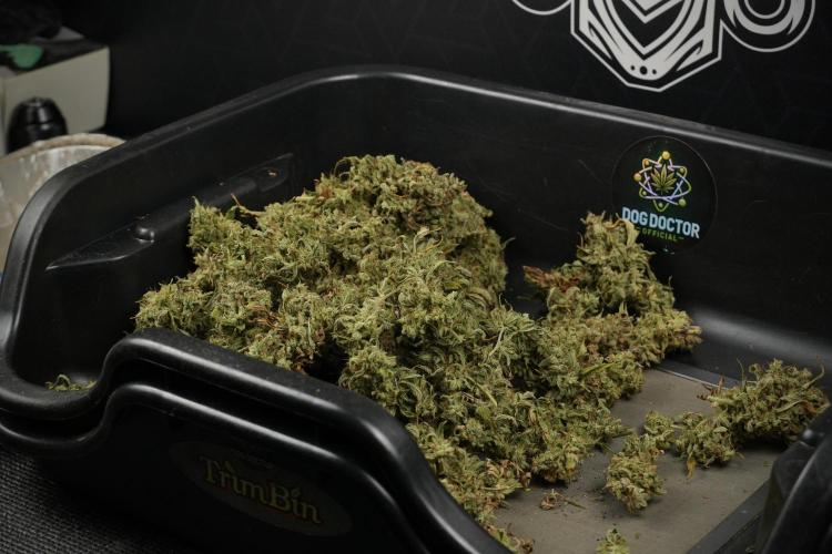 Skywalker OG Legends of the 12/12 Galaxy. Week 16 - breaking down the Skywalker OG  and trimming 