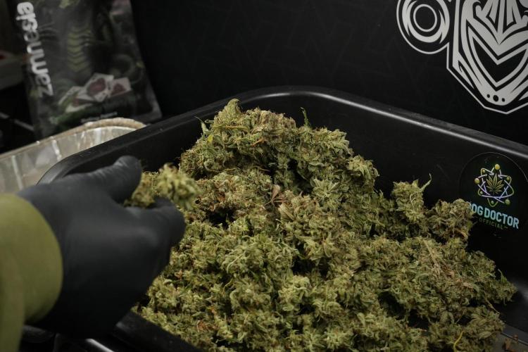Skywalker OG Legends of the 12/12 Galaxy. Week 16 - breaking down the Skywalker OG  and trimming 