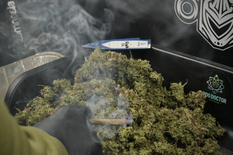 Skywalker OG Legends of the 12/12 Galaxy. Week 16 - breaking down the Skywalker OG  and trimming 