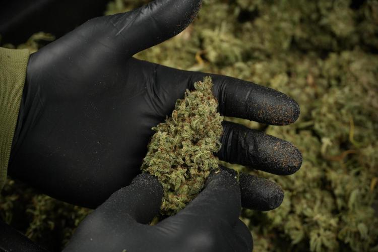 Skywalker OG Legends of the 12/12 Galaxy. Week 16 - breaking down the Skywalker OG  and trimming 