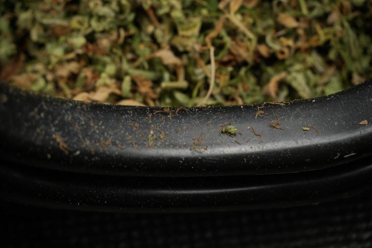Skywalker OG Legends of the 12/12 Galaxy. Week 16 - breaking down the Skywalker OG  and trimming 