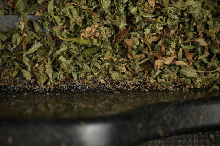 Skywalker OG Legends of the 12/12 Galaxy. Week 16 - breaking down the Skywalker OG  and trimming 