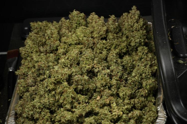 Skywalker OG Legends of the 12/12 Galaxy. Week 16 - breaking down the Skywalker OG  and trimming 