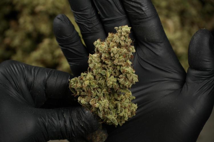 Skywalker OG Legends of the 12/12 Galaxy. Week 16 - breaking down the Skywalker OG  and trimming 