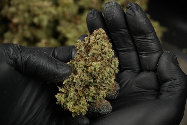 Skywalker OG Legends of the 12/12 Galaxy. Week 16 - breaking down the Skywalker OG  and trimming 