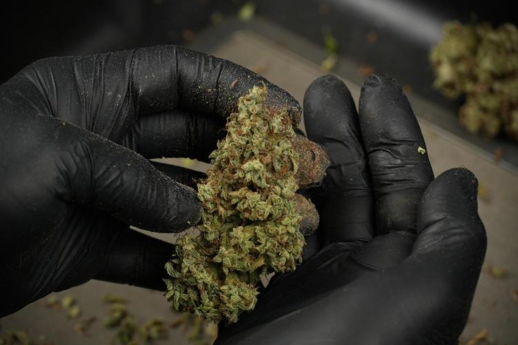 Skywalker OG Legends of the 12/12 Galaxy. Week 16 - breaking down the Skywalker OG  and trimming 