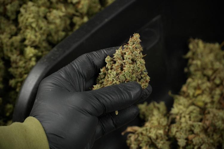 Skywalker OG Legends of the 12/12 Galaxy. Week 16 - breaking down the Skywalker OG  and trimming 