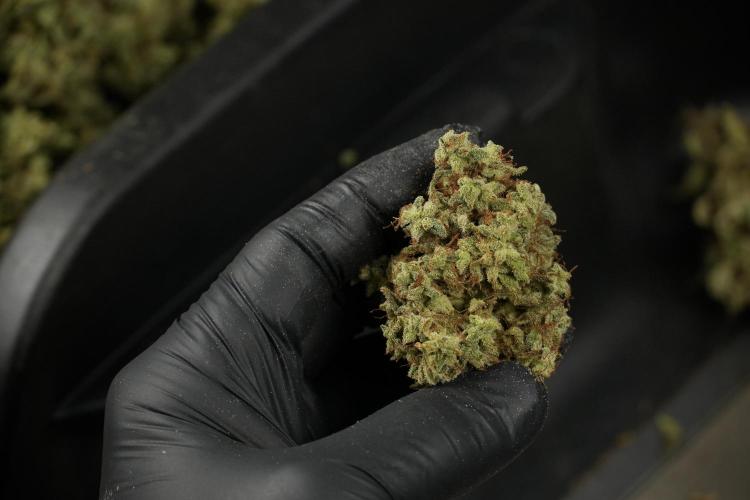 Skywalker OG Legends of the 12/12 Galaxy. Week 16 - breaking down the Skywalker OG  and trimming 