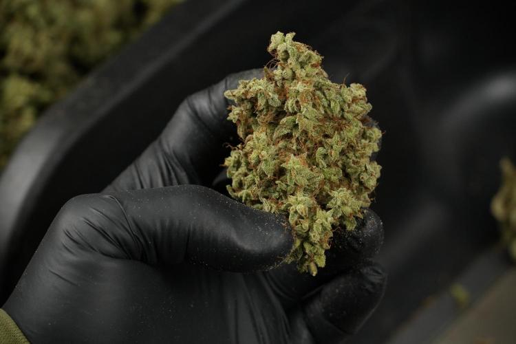 Skywalker OG Legends of the 12/12 Galaxy. Week 16 - breaking down the Skywalker OG  and trimming 