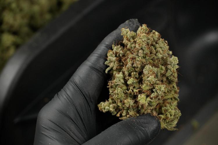 Skywalker OG Legends of the 12/12 Galaxy. Week 16 - breaking down the Skywalker OG  and trimming 