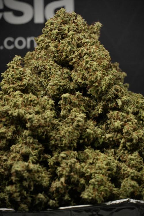 Skywalker OG Legends of the 12/12 Galaxy. Week 16 - the harvest 