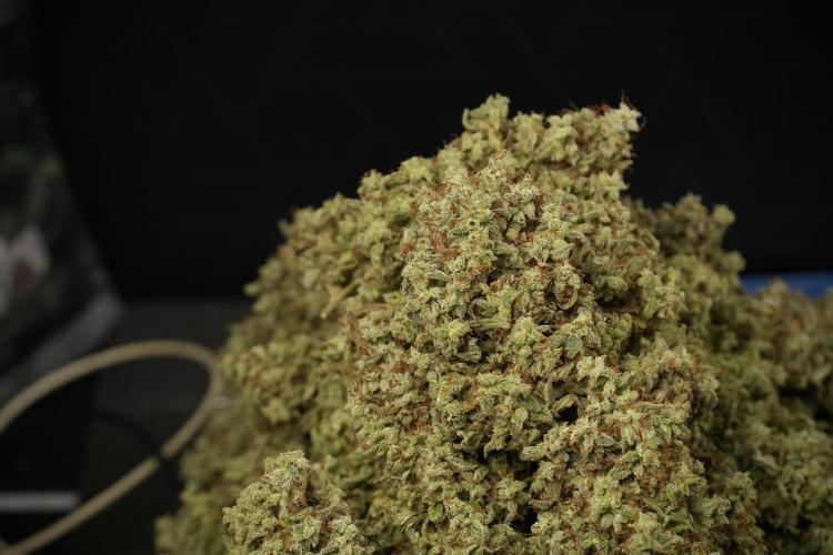 Skywalker OG Legends of the 12/12 Galaxy. Week 16 - the harvest 