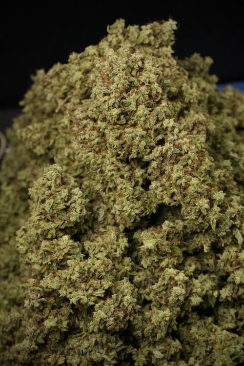 Skywalker OG Legends of the 12/12 Galaxy. Week 16 - the harvest 