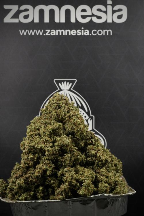 Skywalker OG Legends of the 12/12 Galaxy. Week 16 - final numbers 