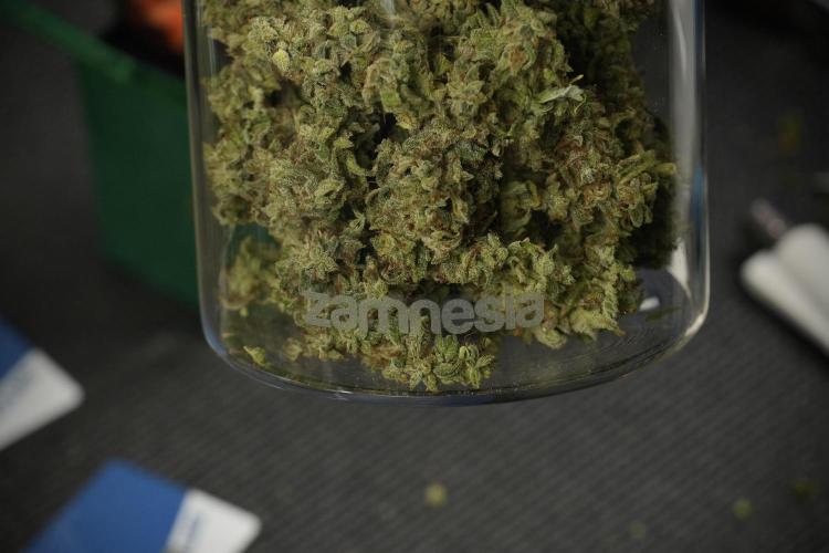Skywalker OG Legends of the 12/12 Galaxy. Week 16 - storing and saving terpenes 