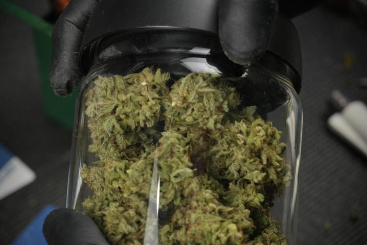 Skywalker OG Legends of the 12/12 Galaxy. Week 16 - storing and saving terpenes 