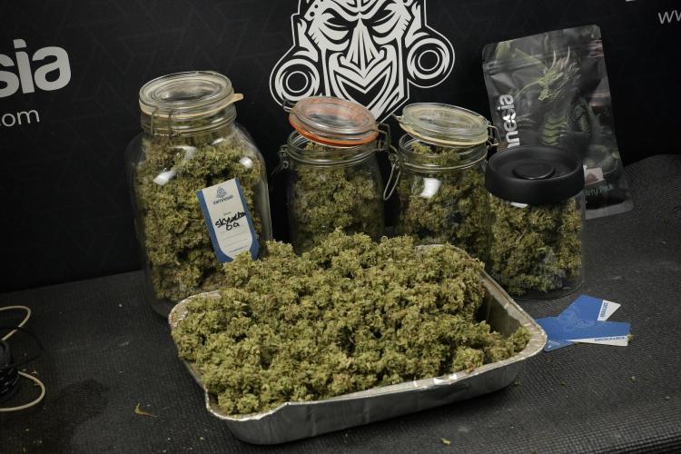 Skywalker OG Legends of the 12/12 Galaxy. Week 16 - storing and saving terpenes 