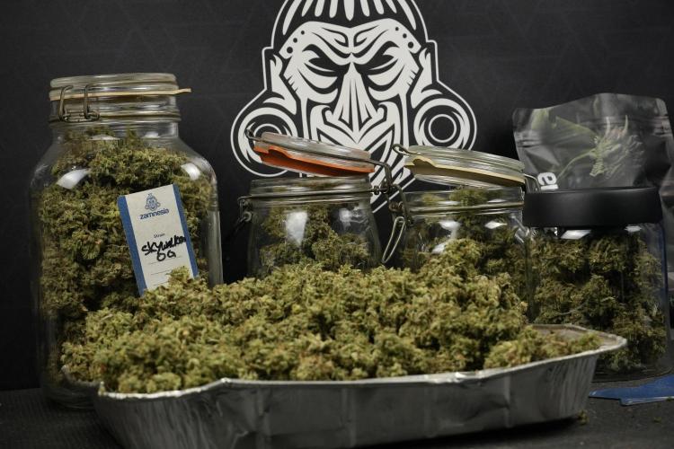 Skywalker OG Legends of the 12/12 Galaxy. Week 16 - storing and saving terpenes 