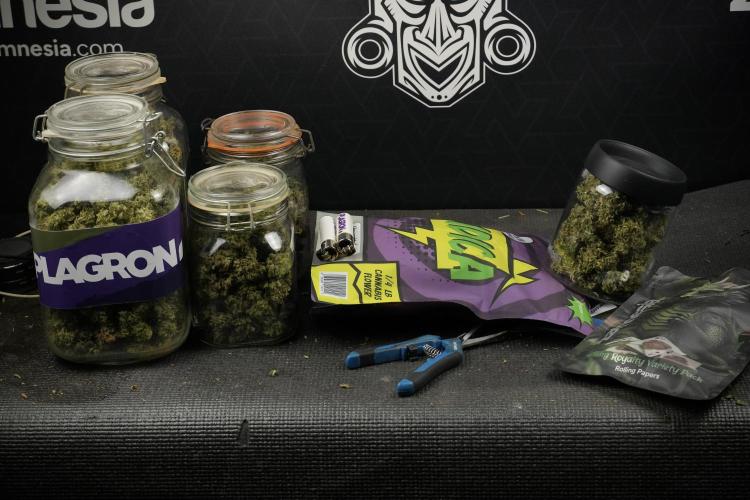 Skywalker OG Legends of the 12/12 Galaxy. Week 16 - storing and saving terpenes 