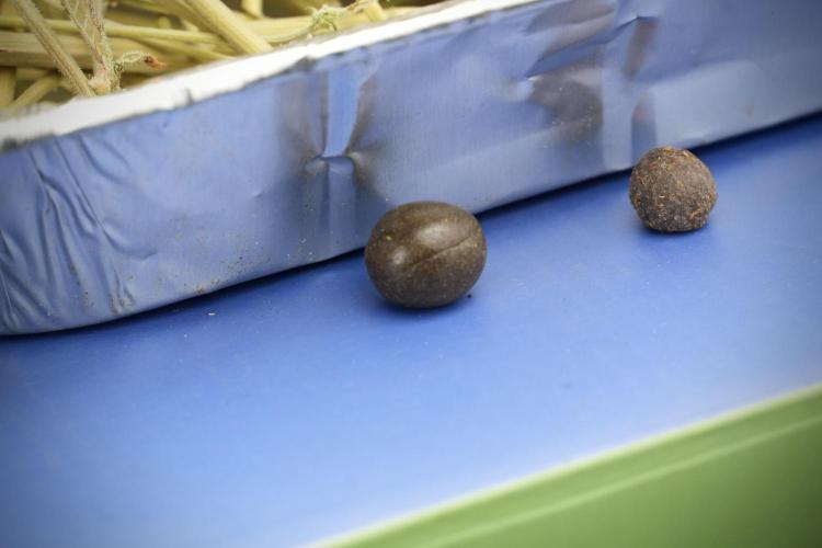 Skywalker OG Legends of the 12/12 Galaxy. Week 16 - hash balls 