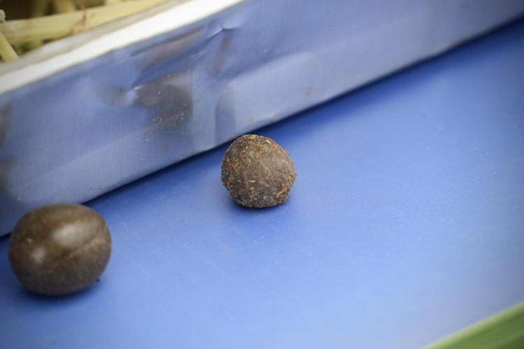 Skywalker OG Legends of the 12/12 Galaxy. Week 16 - hash balls 
