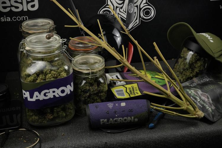 Skywalker OG Legends of the 12/12 Galaxy. Week 16 - The Skeleton and the harvest