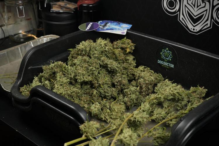 Skywalker OG Legends of the 12/12 Galaxy. Week 17 - Trimming the Skywalker OG