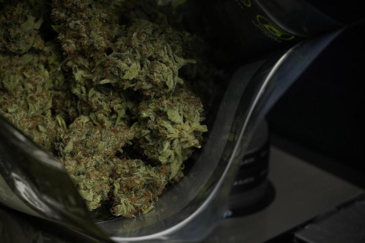 Skywalker OG Legends of the 12/12 Galaxy. Week 17 - Saving Terpenes on  the Skywalker OG