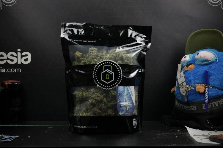 Skywalker OG Legends of the 12/12 Galaxy. Week 17 - Saving Terpenes on  the Skywalker OG