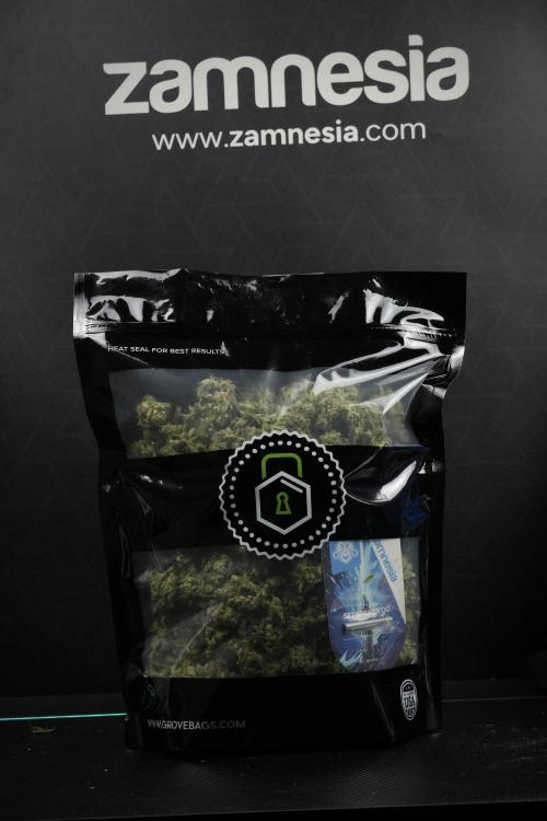 Skywalker OG Legends of the 12/12 Galaxy. Week 17 - Saving Terpenes on  the Skywalker OG