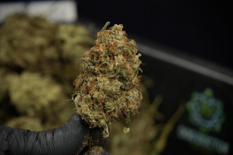 Skywalker OG Legends of the 12/12 Galaxy. Week 17 - Trimming the other Skywalker OG