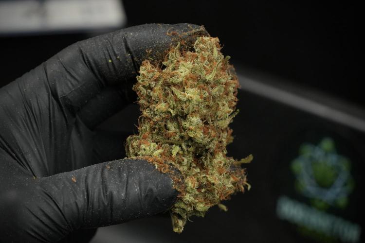 Skywalker OG Legends of the 12/12 Galaxy. Week 17 - Trimming the other Skywalker OG
