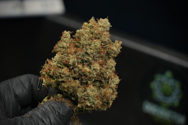 Skywalker OG Legends of the 12/12 Galaxy. Week 17 - Trimming the other Skywalker OG