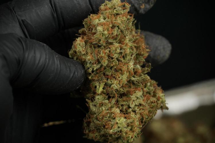 Skywalker OG Legends of the 12/12 Galaxy. Week 17 - Skywalker OG