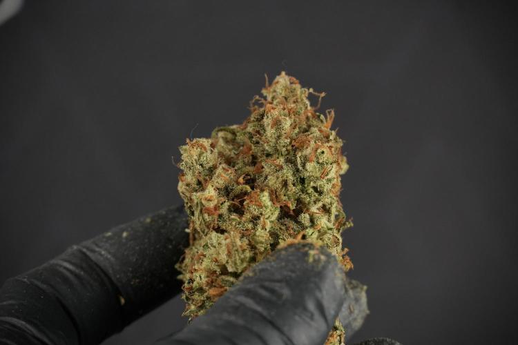 Skywalker OG Legends of the 12/12 Galaxy. Week 17 - Skywalker OG
