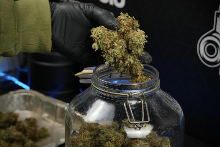 Skywalker OG Legends of the 12/12 Galaxy. Week 17 - Saving the Skywalker OG 