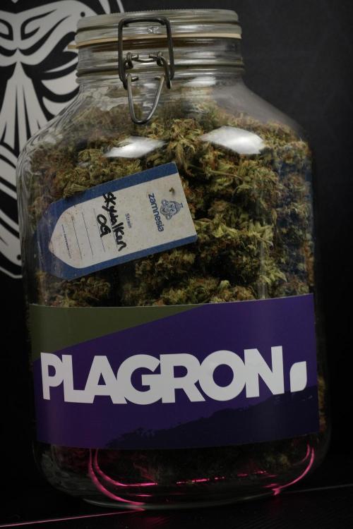 Skywalker OG Legends of the 12/12 Galaxy. Week 17 - Saving the Skywalker OG 