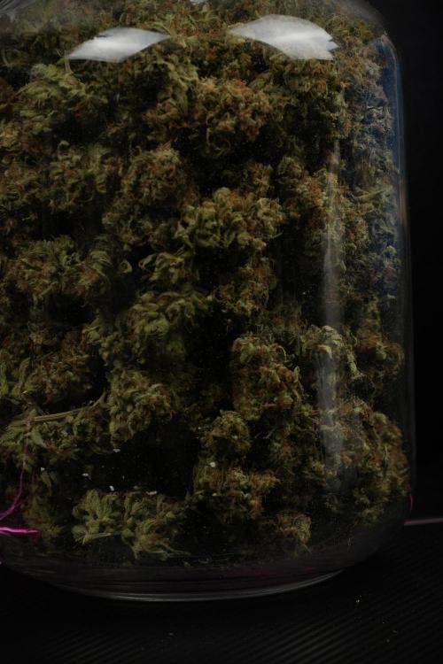 Skywalker OG Legends of the 12/12 Galaxy. Week 17 - Saving the Skywalker OG 